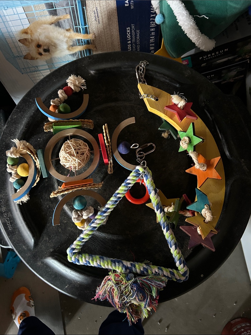 Multicolor Kids Bird Toy Triangle Rope & Wooden Star Chew Toy